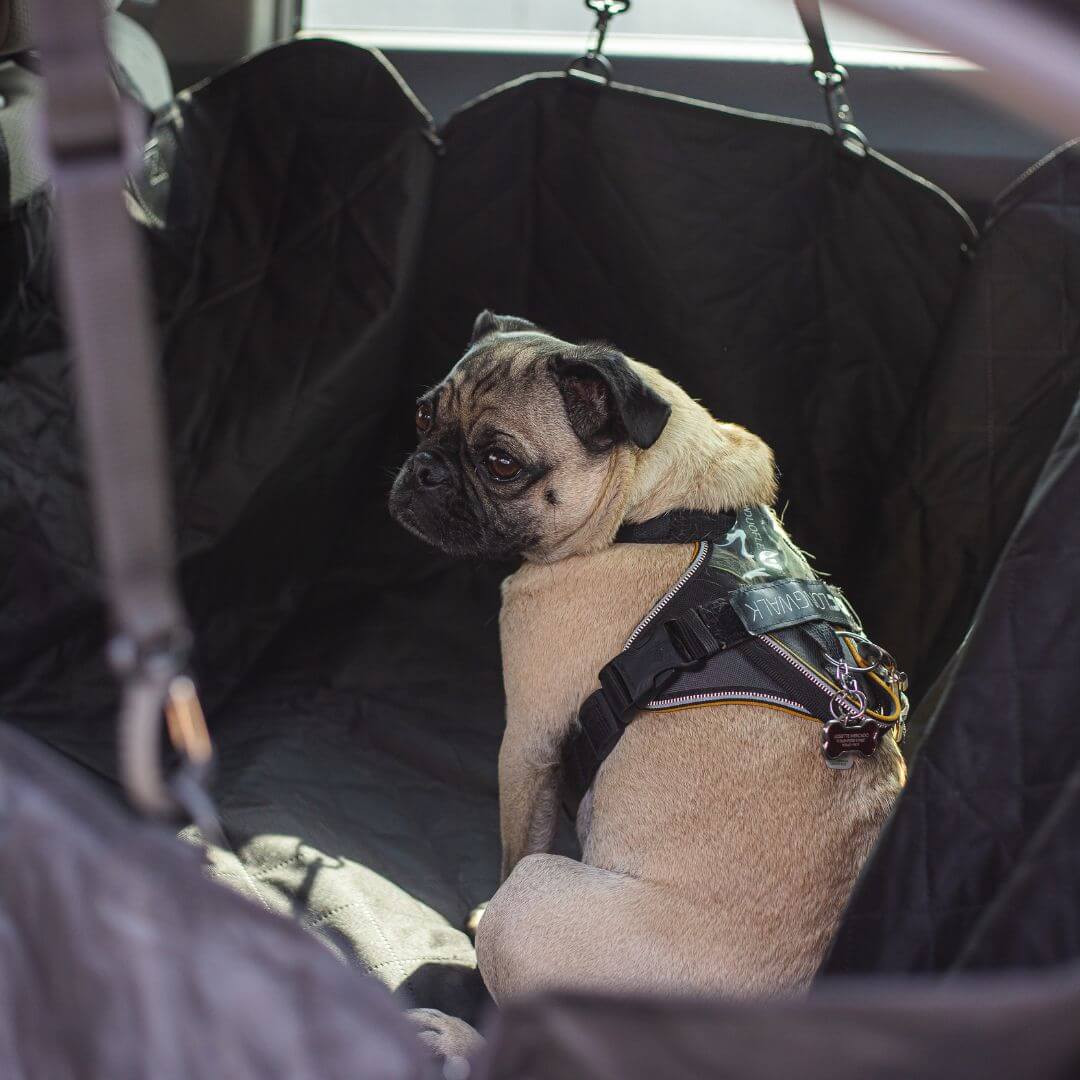 FluffyFriendShop™ - Car Seat Cover for Dogs