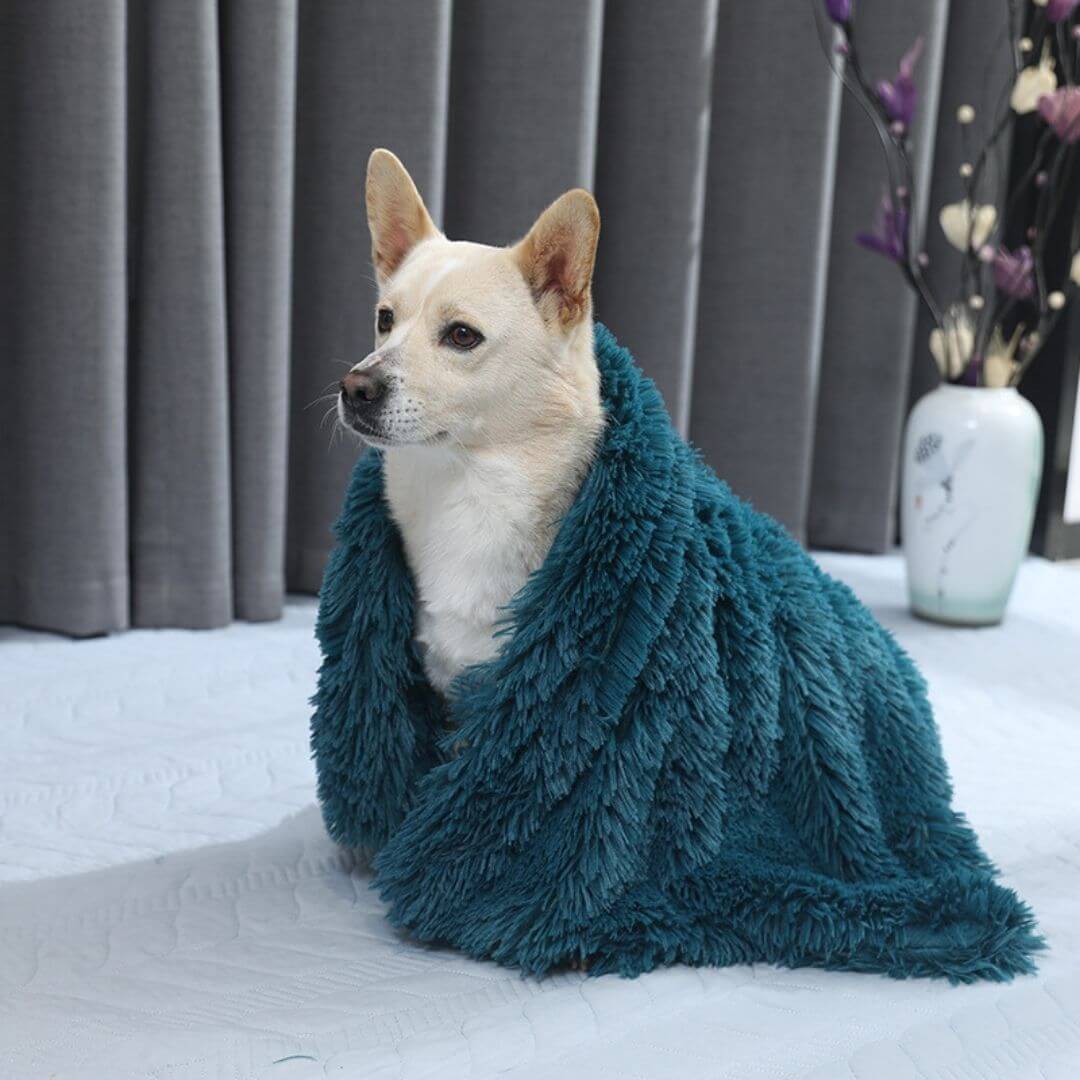 FluffyFriendShop™ - Anxiety Relieving Fluffy Pet Blanket