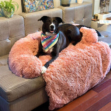 Load image into Gallery viewer, Fluffy Couch Cover for Dogs and Cats
