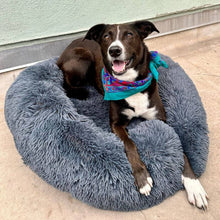 Load image into Gallery viewer, FluffyFriendShop™ - World&#39;s #1 Anxiety Relieving Pet Bed
