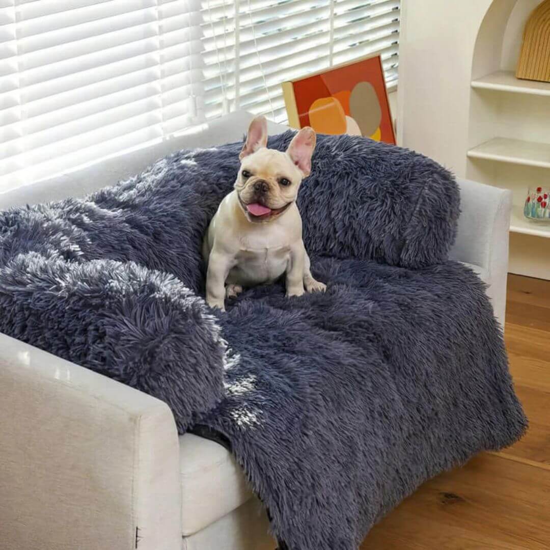 Fluffy Couch Cover for Dogs and Cats