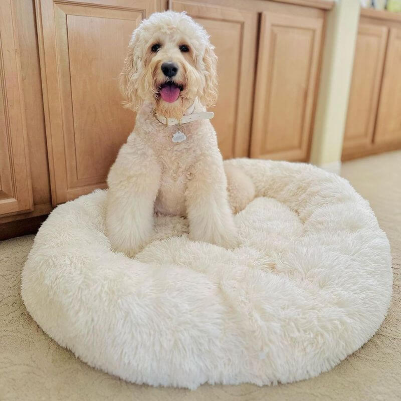 FluffyFriendShop™ - World's #1 Anxiety Relieving Pet Bed