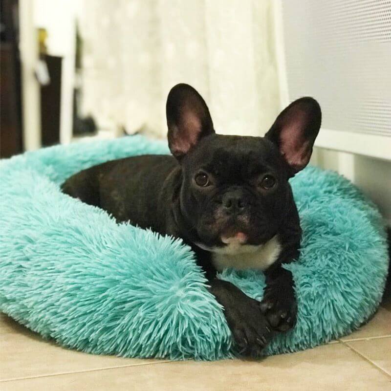 FluffyFriendShop™ - World's #1 Anxiety Relieving Pet Bed